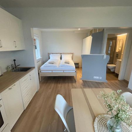 Cosy Studio Apartment Hveragerdi Exterior photo
